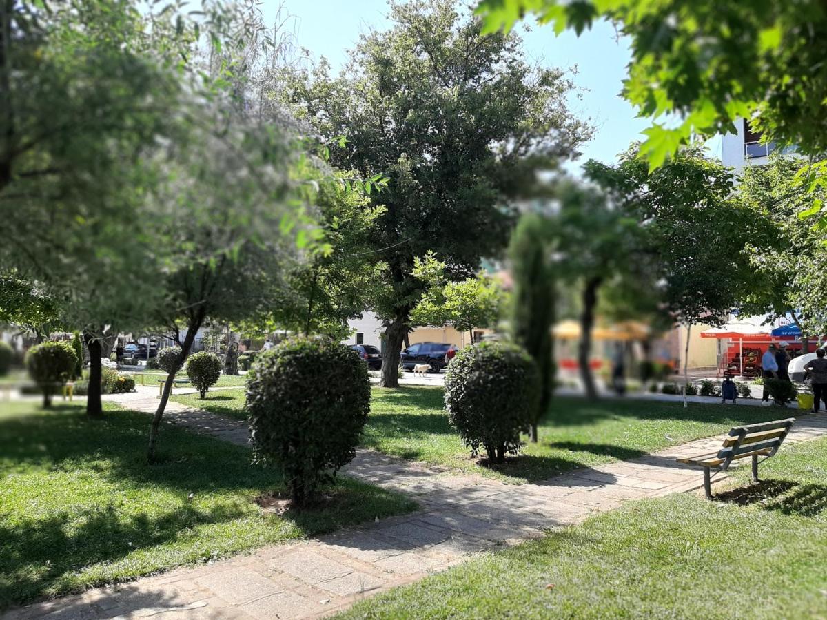 Elio'S Holiday Home Pogradec Zewnętrze zdjęcie